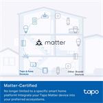 TP-Link Tapo P110M