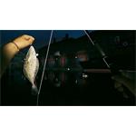 Ultimate Fishing Simulator 2