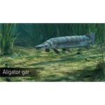 Ultimate Fishing Simulator Amazon River