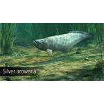 Ultimate Fishing Simulator Amazon River