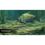 Ultimate Fishing Simulator Amazon River
