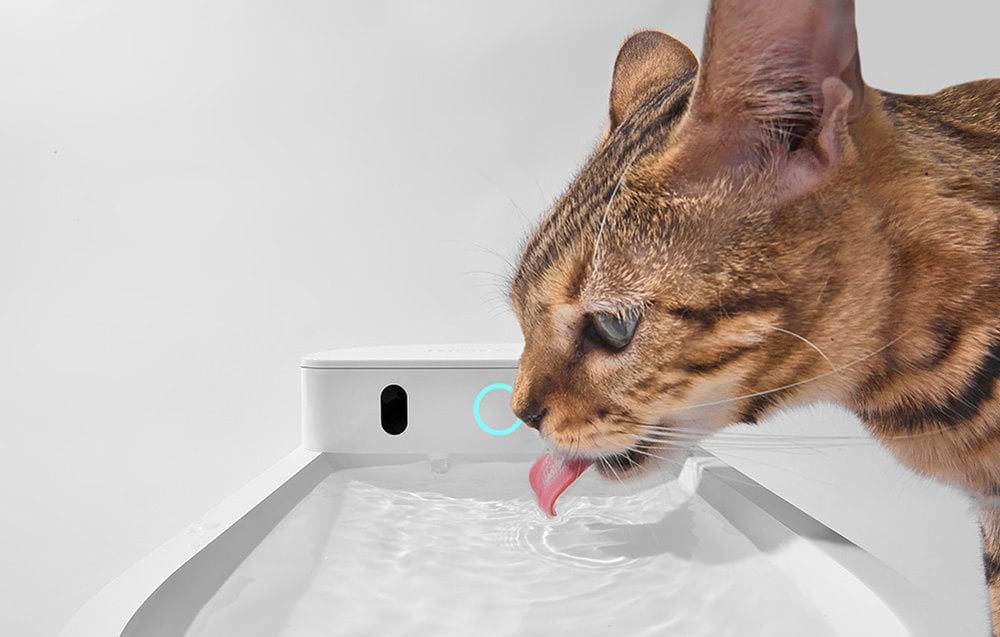 Vodná fontána Catlink Pure 3 pre domáce zvieratá