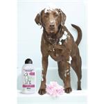 Wahl 3999-7030 Šampon pro zvířata Clean a calm 750 ml
