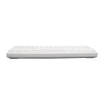White Shark SHINOBI White, US layout, hnědý switch (GK-2022)
