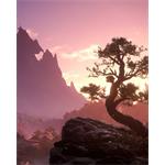 Xbox Series X/Xbox Series S - Wild Hearts