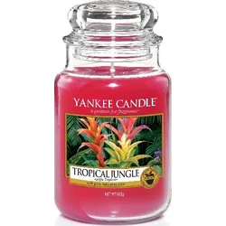 Yankee Candle 623g Tropical Jungle 5038581033709