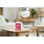 Yankee Candle Red Raspberry 567g