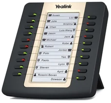 YEALINK EXP20 (10000243)