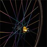 Zapletená kola MTB PROTOTYPE World CUP SP 29" White Rainbow - 110/148 Boost, ořech Microspline 12s
