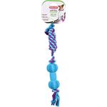 Zolux ROPE BONE guma 35cm mix farieb